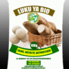 SAC LUKU YA BIO copi LUKU YA BIO